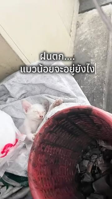 ตัวอย่างผลงานของอินฟลูเอนเซอร์
