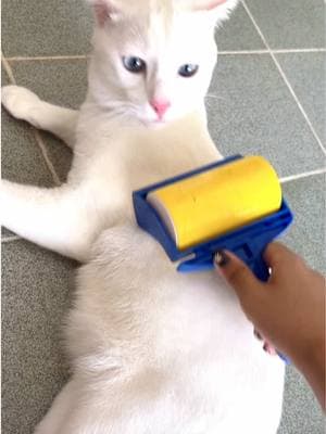 ตัวอย่างผลงานของอินฟลูเอนเซอร์