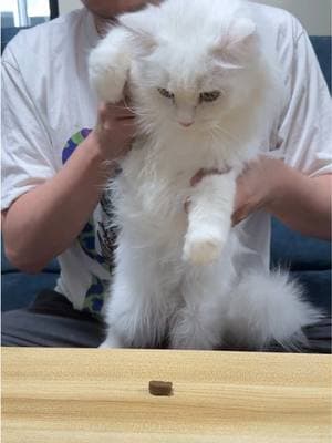 ตัวอย่างผลงานของอินฟลูเอนเซอร์