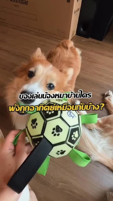 ตัวอย่างผลงานของอินฟลูเอนเซอร์