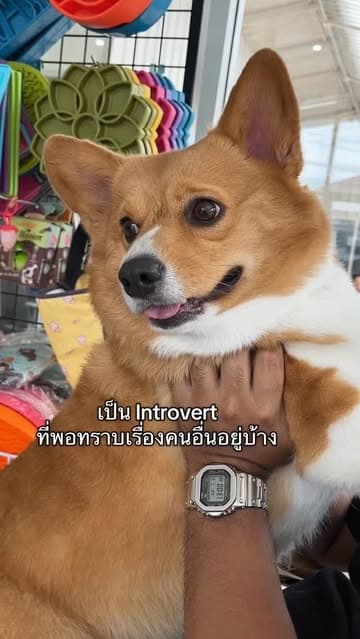 ตัวอย่างผลงานของอินฟลูเอนเซอร์