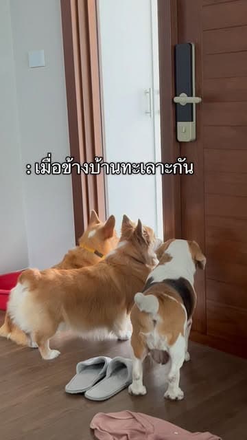 ตัวอย่างผลงานของอินฟลูเอนเซอร์