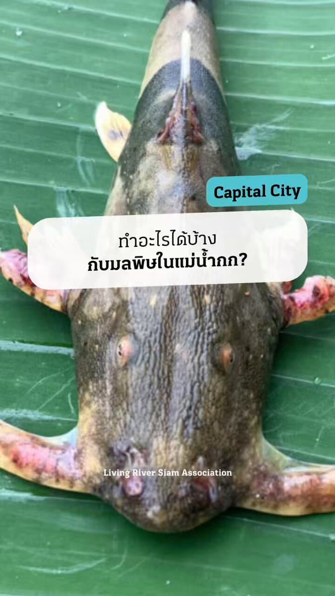 ตัวอย่างผลงานของอินฟลูเอนเซอร์