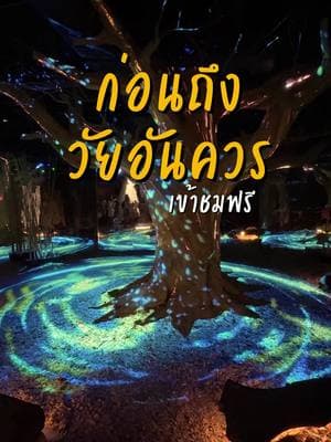 ตัวอย่างผลงานของอินฟลูเอนเซอร์