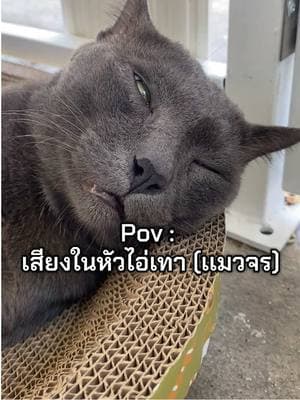 ตัวอย่างผลงานของอินฟลูเอนเซอร์