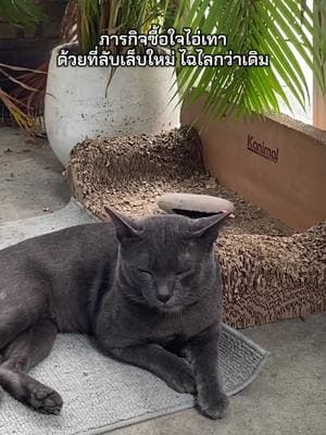ตัวอย่างผลงานของอินฟลูเอนเซอร์