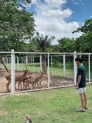 ตัวอย่างผลงานของอินฟลูเอนเซอร์