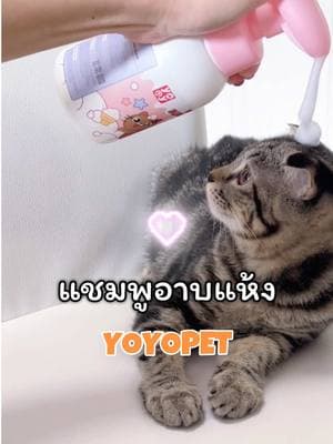 ตัวอย่างผลงานของอินฟลูเอนเซอร์