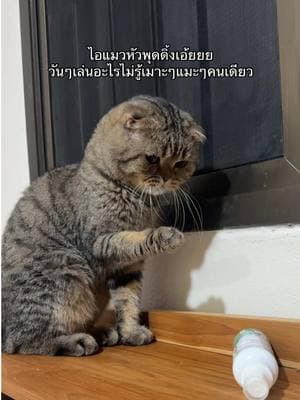 ตัวอย่างผลงานของอินฟลูเอนเซอร์