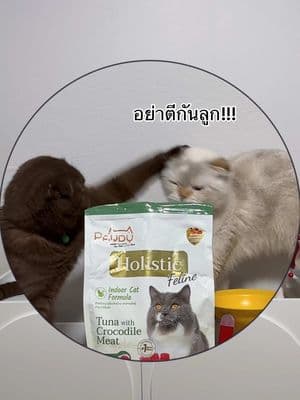 ตัวอย่างผลงานของอินฟลูเอนเซอร์