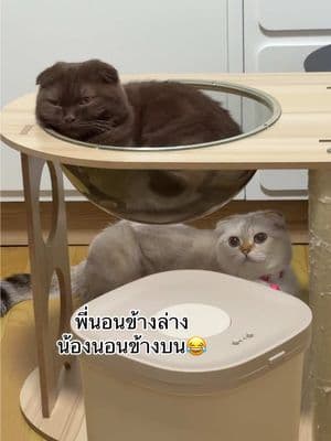 ตัวอย่างผลงานของอินฟลูเอนเซอร์