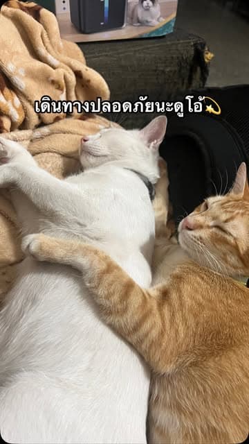 ตัวอย่างผลงานของอินฟลูเอนเซอร์