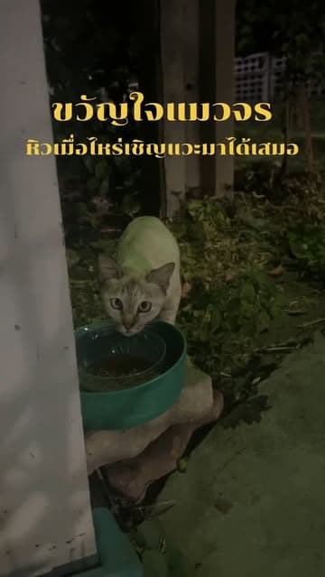 ตัวอย่างผลงานของอินฟลูเอนเซอร์
