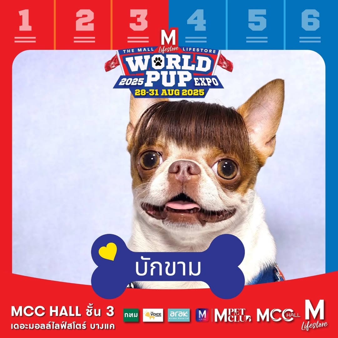 ตัวอย่างผลงานของอินฟลูเอนเซอร์