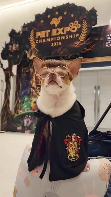 ตัวอย่างผลงานของอินฟลูเอนเซอร์
