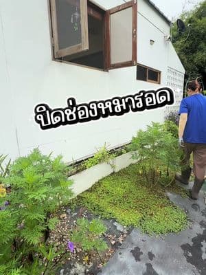 ตัวอย่างผลงานของอินฟลูเอนเซอร์