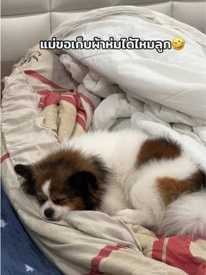 ตัวอย่างผลงานของอินฟลูเอนเซอร์
