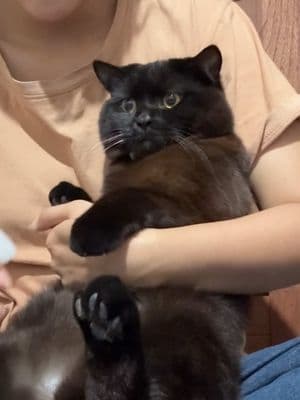 ตัวอย่างผลงานของอินฟลูเอนเซอร์