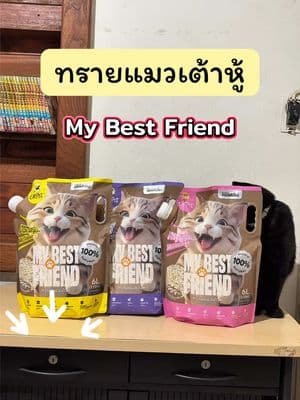 ตัวอย่างผลงานของอินฟลูเอนเซอร์