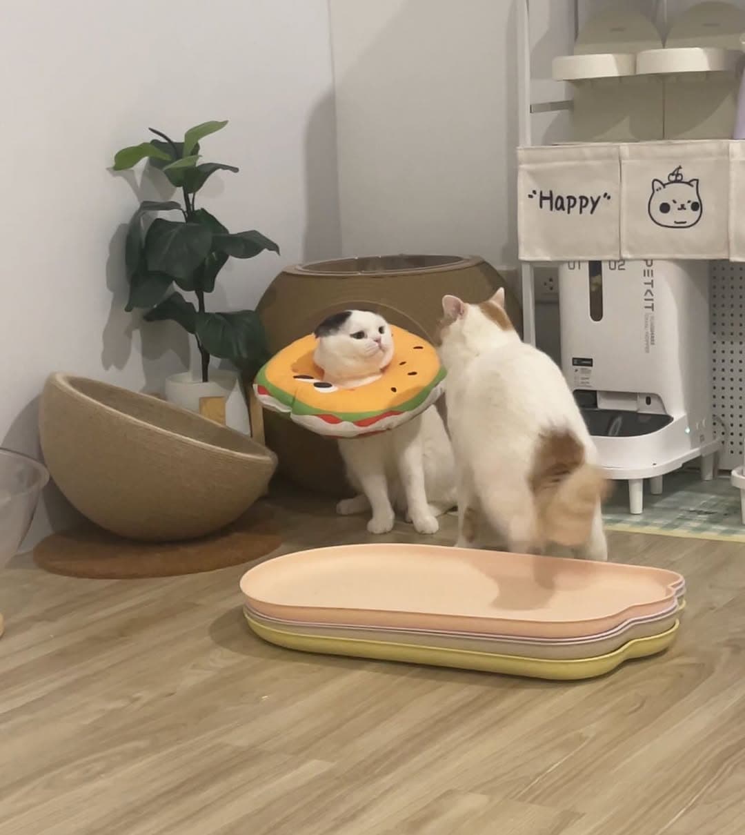 ตัวอย่างผลงานของอินฟลูเอนเซอร์