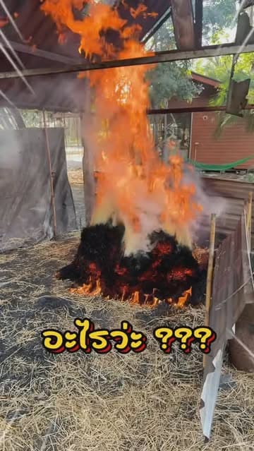 ตัวอย่างผลงานของอินฟลูเอนเซอร์