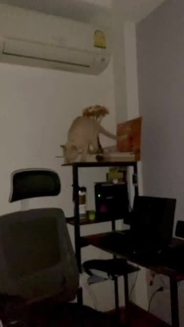 ตัวอย่างผลงานของอินฟลูเอนเซอร์