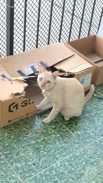 ตัวอย่างผลงานของอินฟลูเอนเซอร์