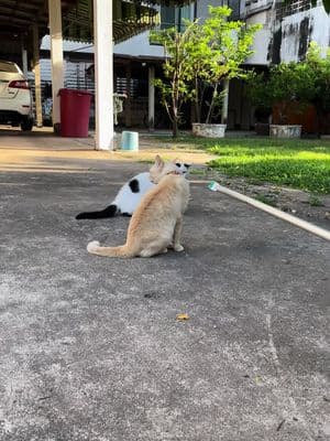 ตัวอย่างผลงานของอินฟลูเอนเซอร์