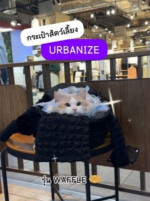 ตัวอย่างผลงานของอินฟลูเอนเซอร์