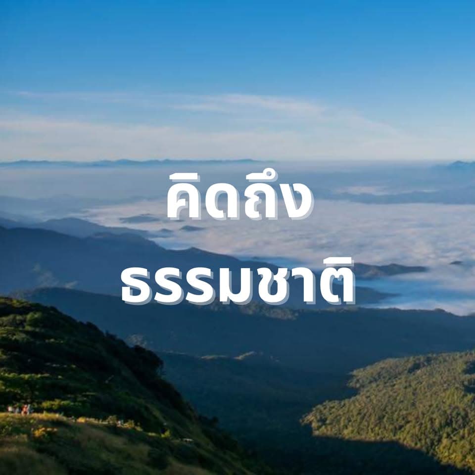 ตัวอย่างผลงานของอินฟลูเอนเซอร์