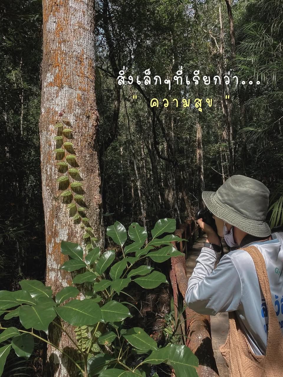 ตัวอย่างผลงานของอินฟลูเอนเซอร์
