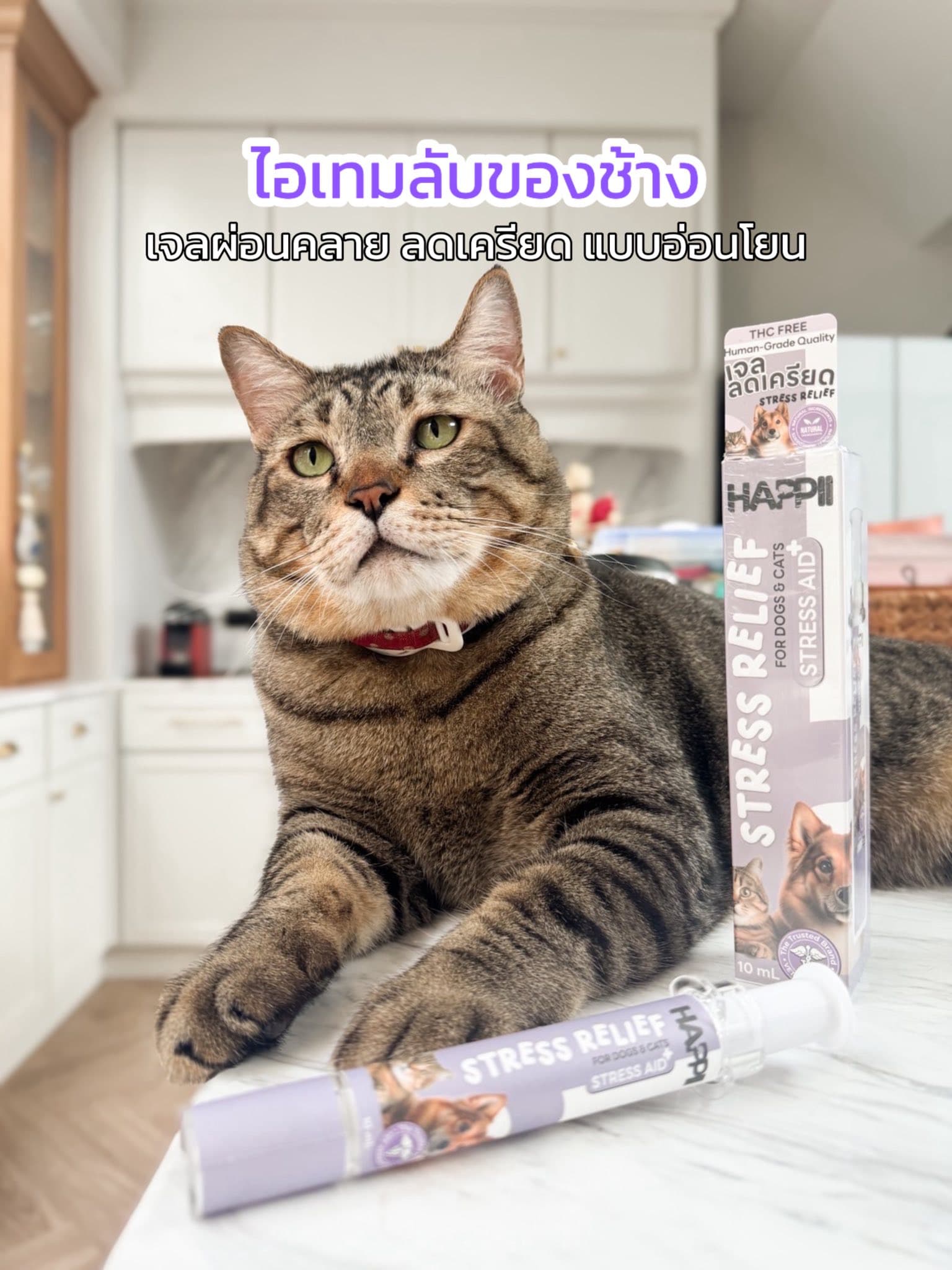 ตัวอย่างผลงานของอินฟลูเอนเซอร์