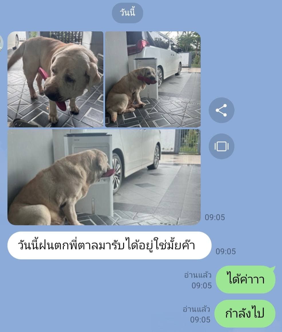 ตัวอย่างผลงานของอินฟลูเอนเซอร์