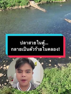 ตัวอย่างผลงานของอินฟลูเอนเซอร์