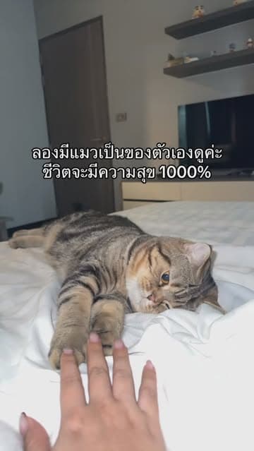 ตัวอย่างผลงานของอินฟลูเอนเซอร์