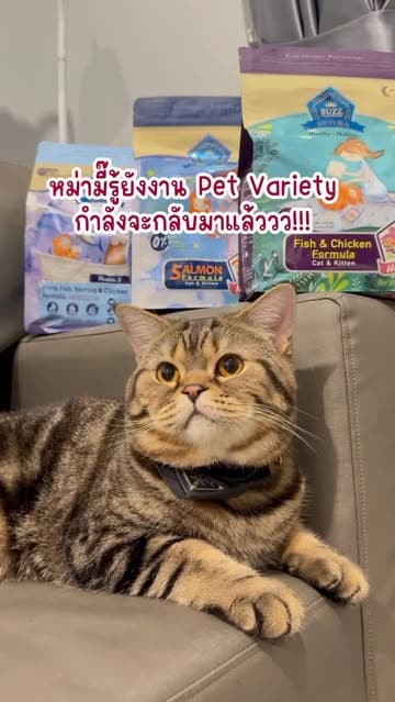 ตัวอย่างผลงานของอินฟลูเอนเซอร์