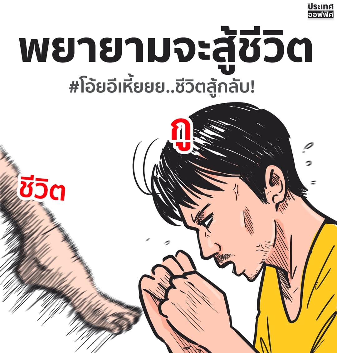 ตัวอย่างผลงานของอินฟลูเอนเซอร์
